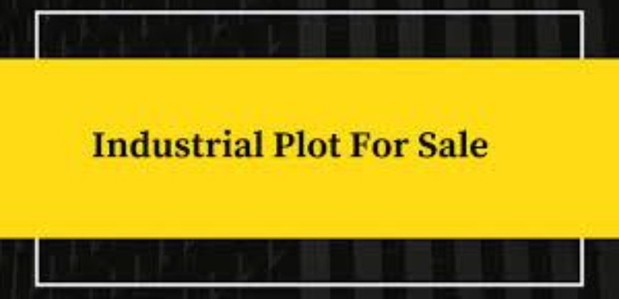 12000 Sqft Industrial plot for sale in Savli.