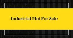 40000 Sqft Industrial Plot For Sale In Savli.